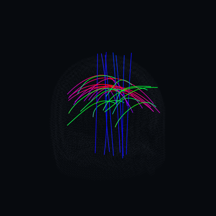 3D tractography render